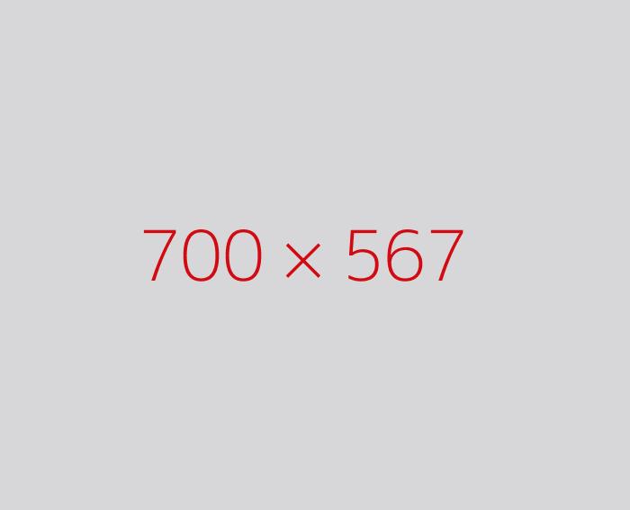 d20a11 (2)